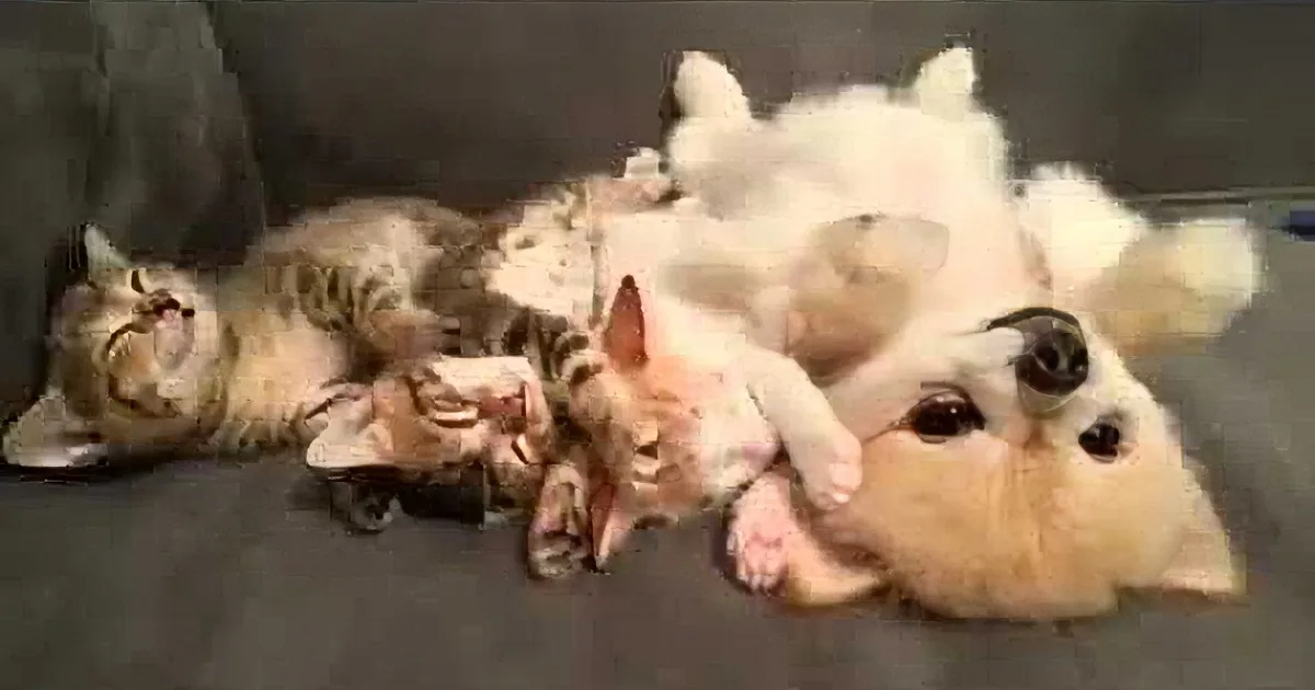 A group of kittens and a puppy are cuddled together, sleeping peacefully on a dark surface.