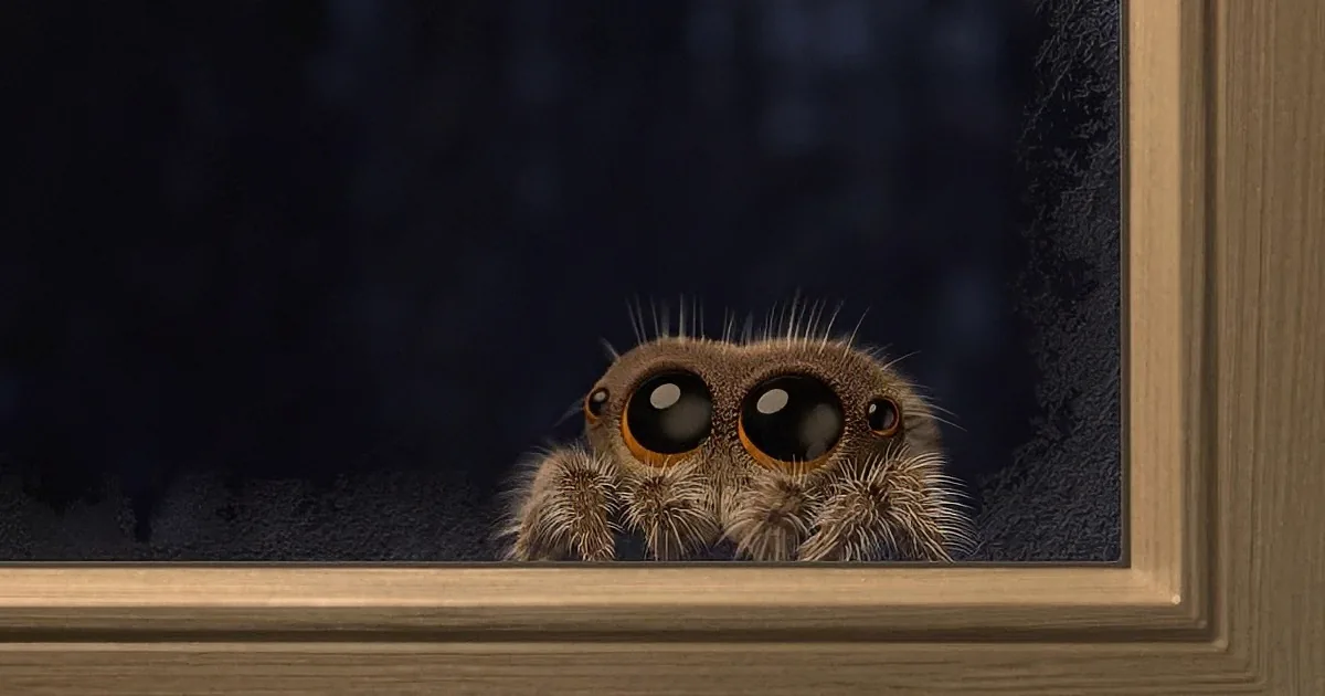 A spider with large, expressive eyes is peeking out from behind a wooden frame.
