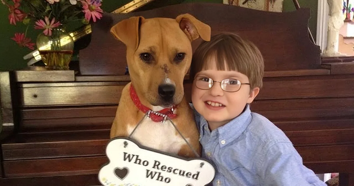 A smiling boy with glasses sits beside a brown dog wearing a red collar, both on a wooden bench.