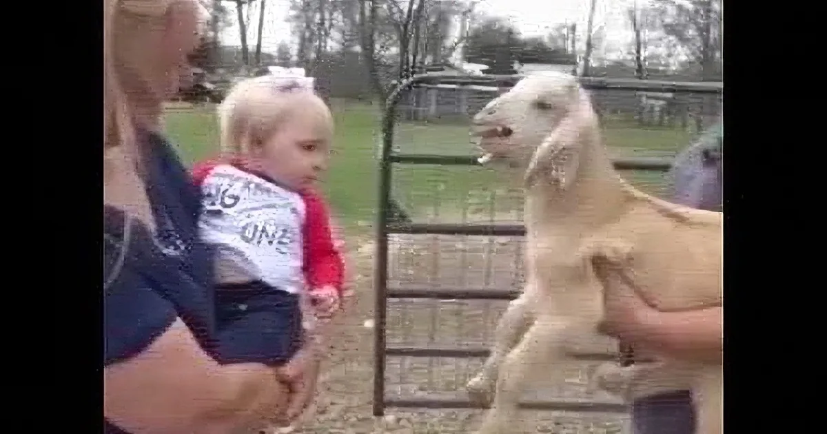 A woman holds a baby in a red shirt near a goat in a fenced area.