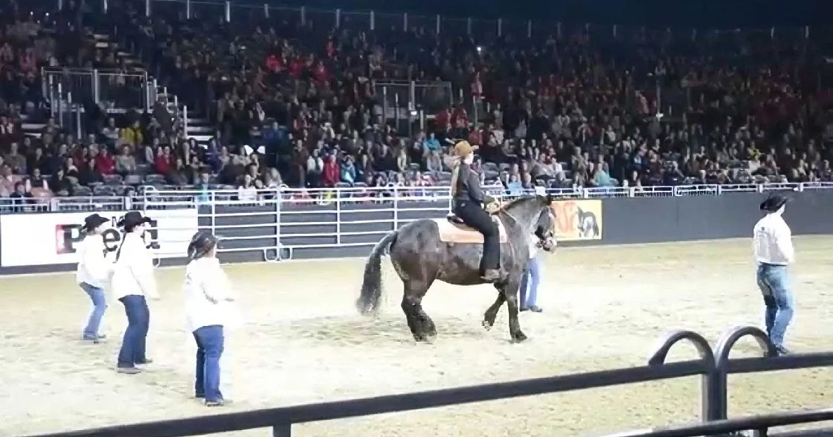 A cowboy rides a bucking horse in a rodeo arena, surrounded by spectators and other riders.