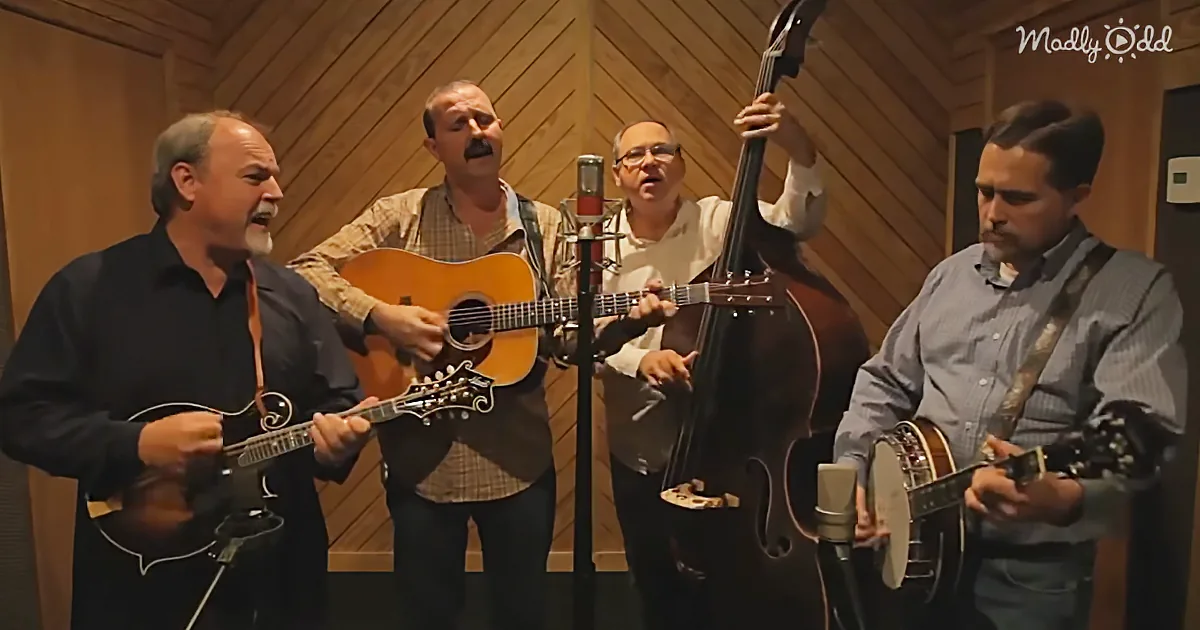 Four Bluegrass Boys Cover an Elton John Classic and It Is Outstanding