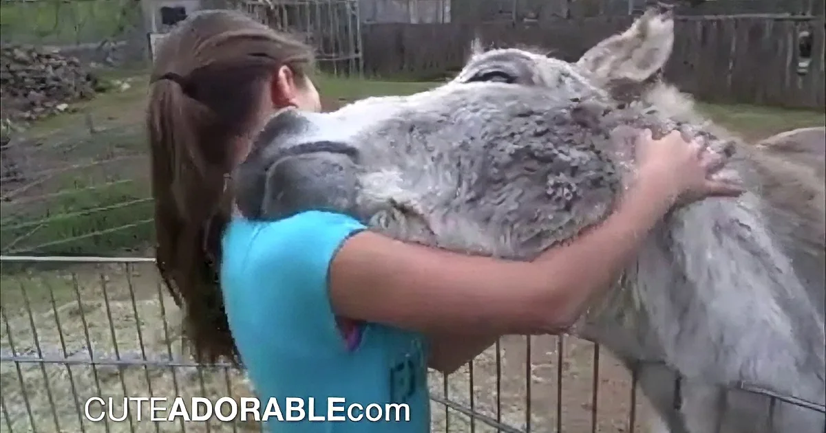 Donkey Spots His Human Friend - His Reaction Is Unforgettable!