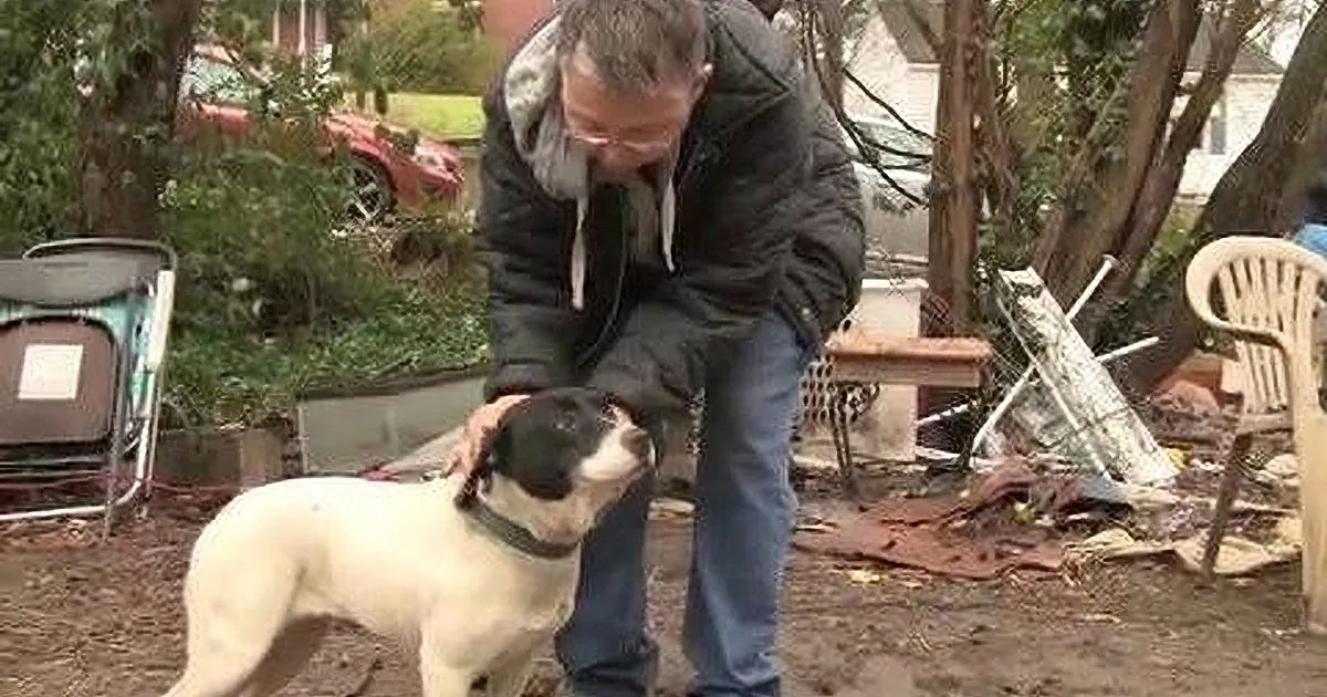 This Dog Has Lived Her Whole Life in Chains - Now Check What She Does When They Come to Help!