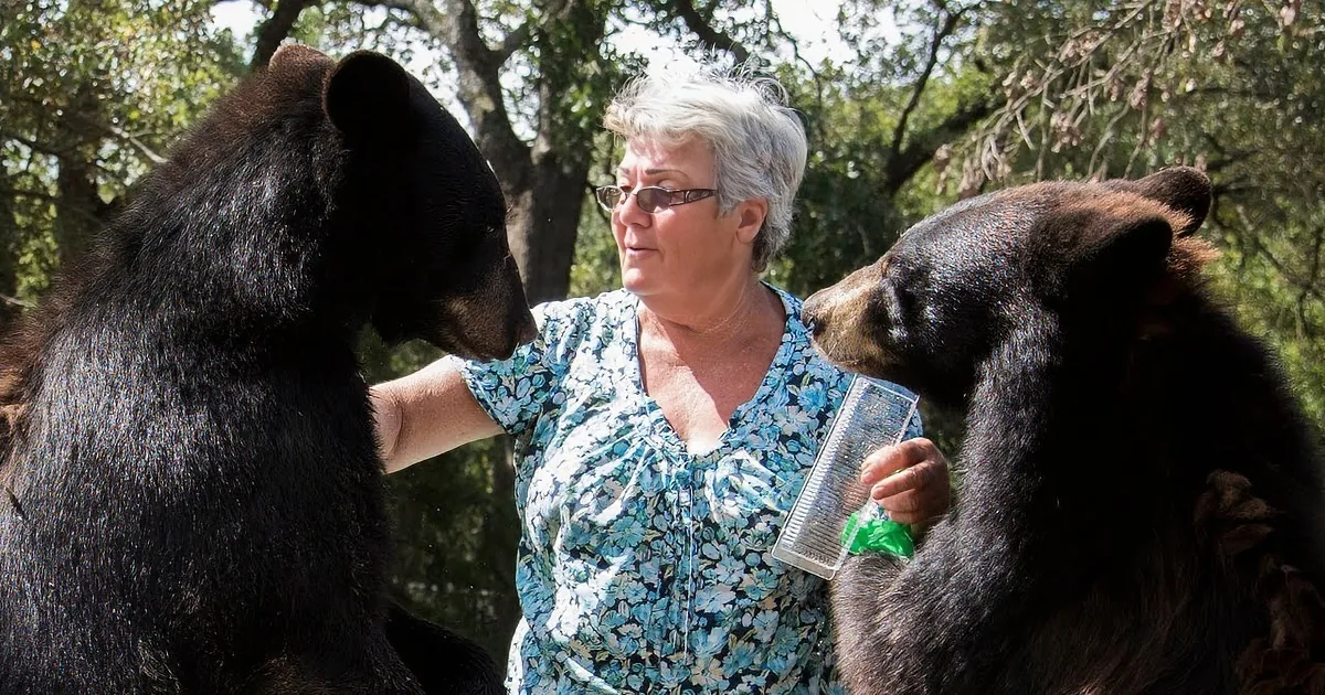 The Grandchildren Thinks She''s Crazy, but She Loves Her Tiger and Both Bears