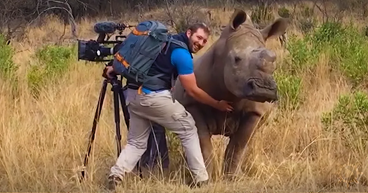 Rhinoceros Appears From the Bush, Cinematographer Taken Back by What Happens Next