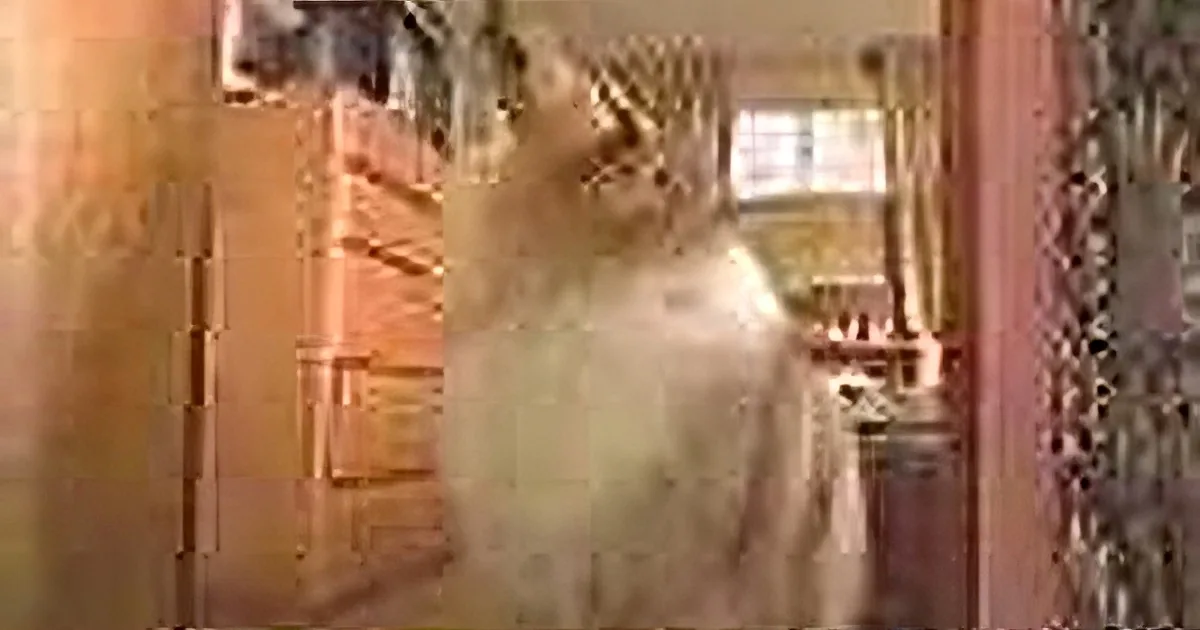 Family Dog Began Barking Next to Baby - the Reason Why Will Shock You!