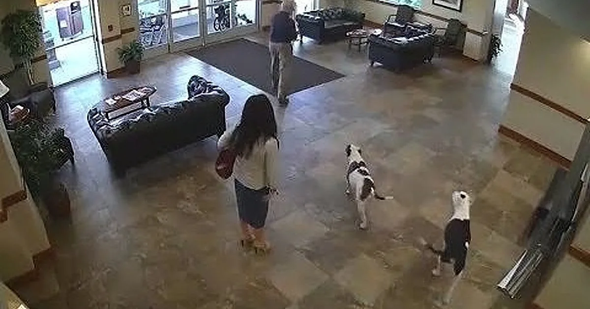A woman walks with a dog in a spacious, well-lit lobby area with couches and a few people in the background.