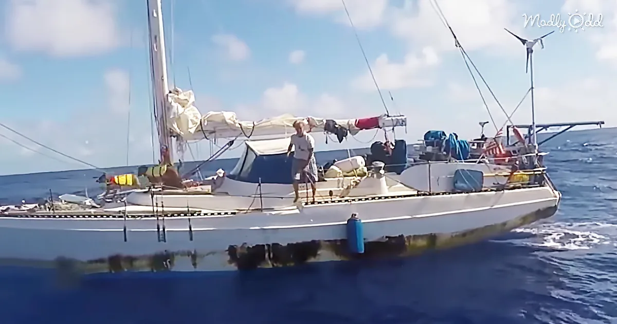 Stranded Boat Found After 147 Days at Sea