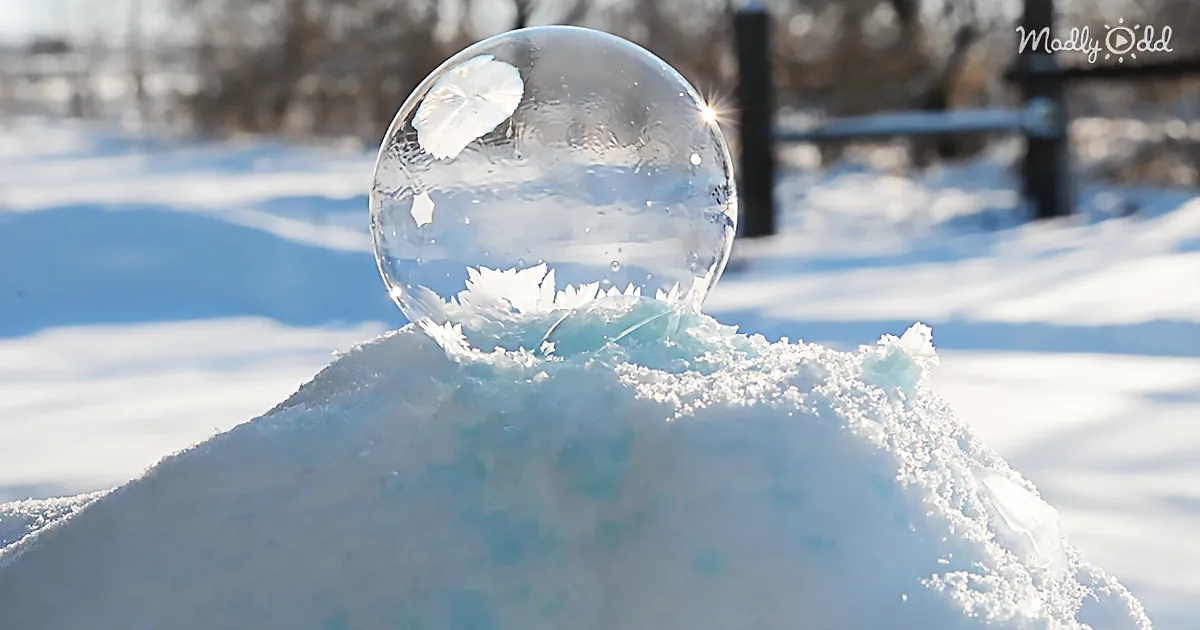A frozen bubble rests on a snow mound, with frosty patterns forming on its surface.