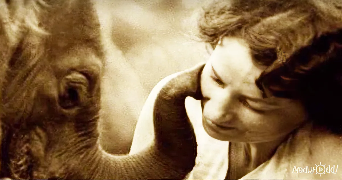 A person with curly hair leans close to a horse, both appearing calm and serene.