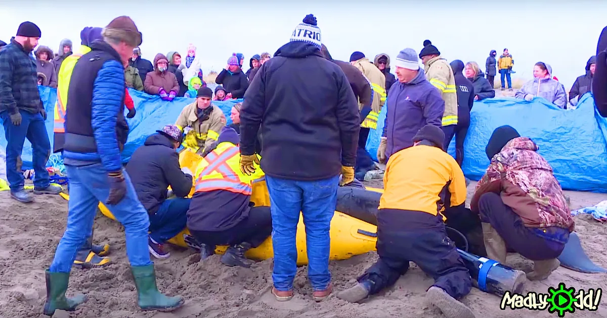 Rescuers in yellow gear assist a person on a stretcher on a sandy beach.