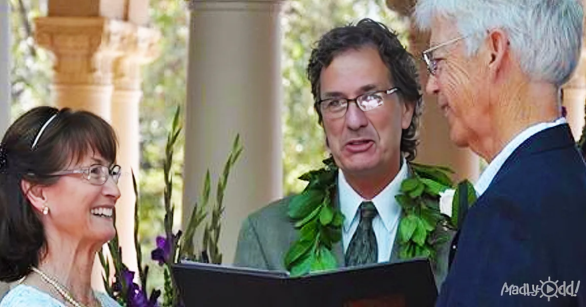 A Woman Cannot Marry the Love of Her Life. 40 Years Later She Finds a Strange Newspaper Clipping.