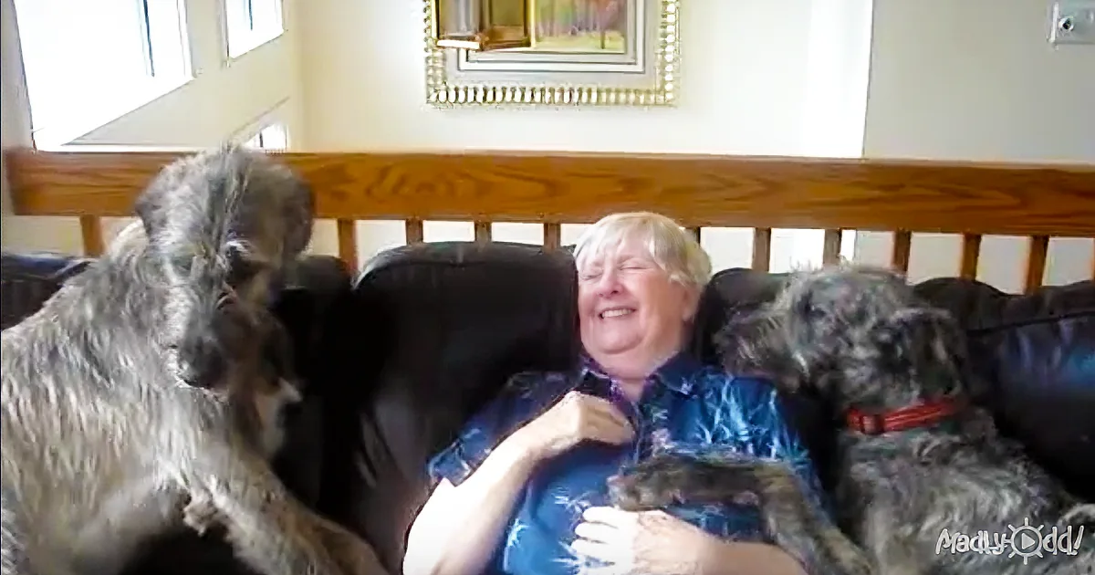 A Grandma With Alzheimer''s Is Welcomed With Warm Hugs and Kisses by Her Irish Wolfhounds.