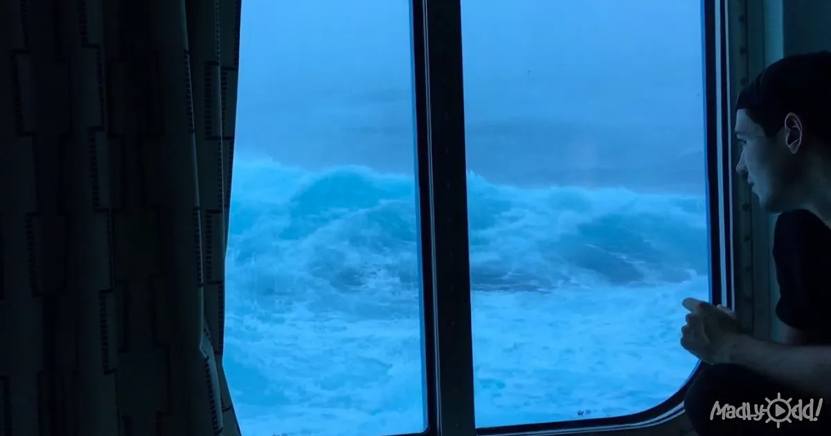Massive Waves Hit Cruise Ship While a Passenger Captures the Shocking Footage of the Event