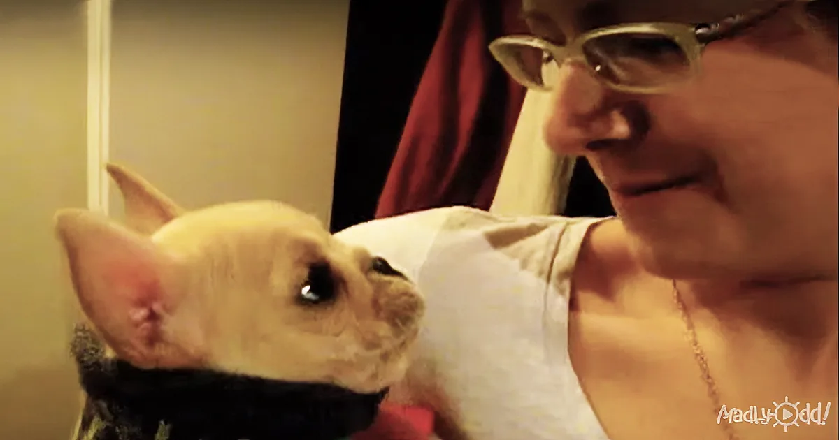 A Woman Says, ''I Love You'' to Her Dog and He Immediately Responds With ''I Love You''!