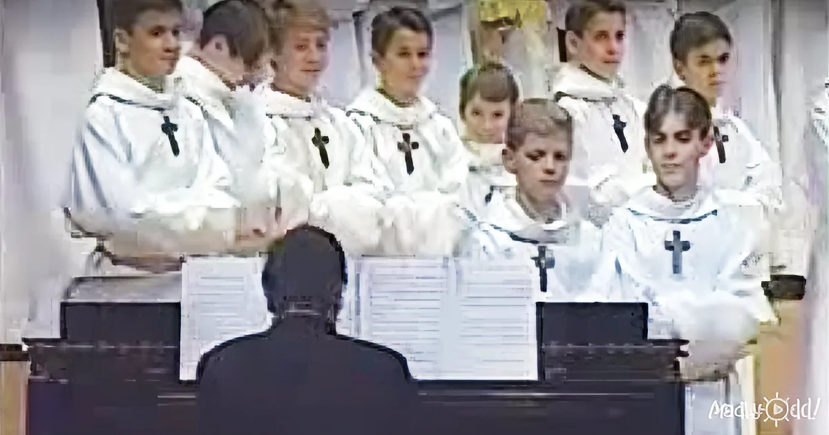 Young-Boy Choir''s Imaginative Song Has the Net in Tears of Laughter