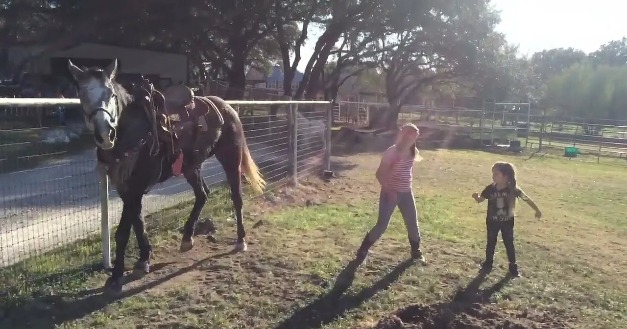 A horse stands in a fenced area as two children play nearby on a sunny day.