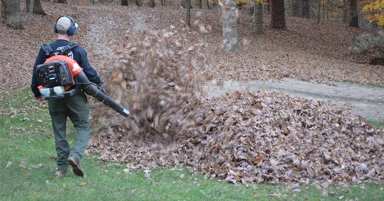 A Dad Almost Faints While Clearing a Pile of Leaves With a Blower!