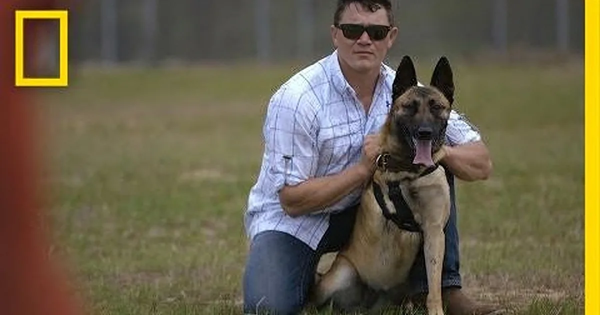 A man in sunglasses kneels with a German Shepherd dog in a grassy field.