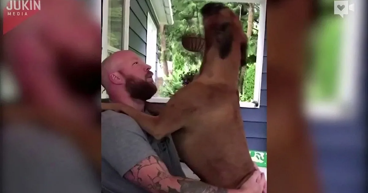 A man with a beard and tattoos is lying down, playfully interacting with a large dog on a porch.