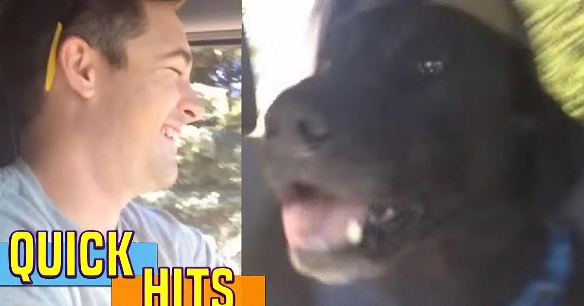 A man and a black dog are shown in close-up, with the man smiling and the dog looking at him.