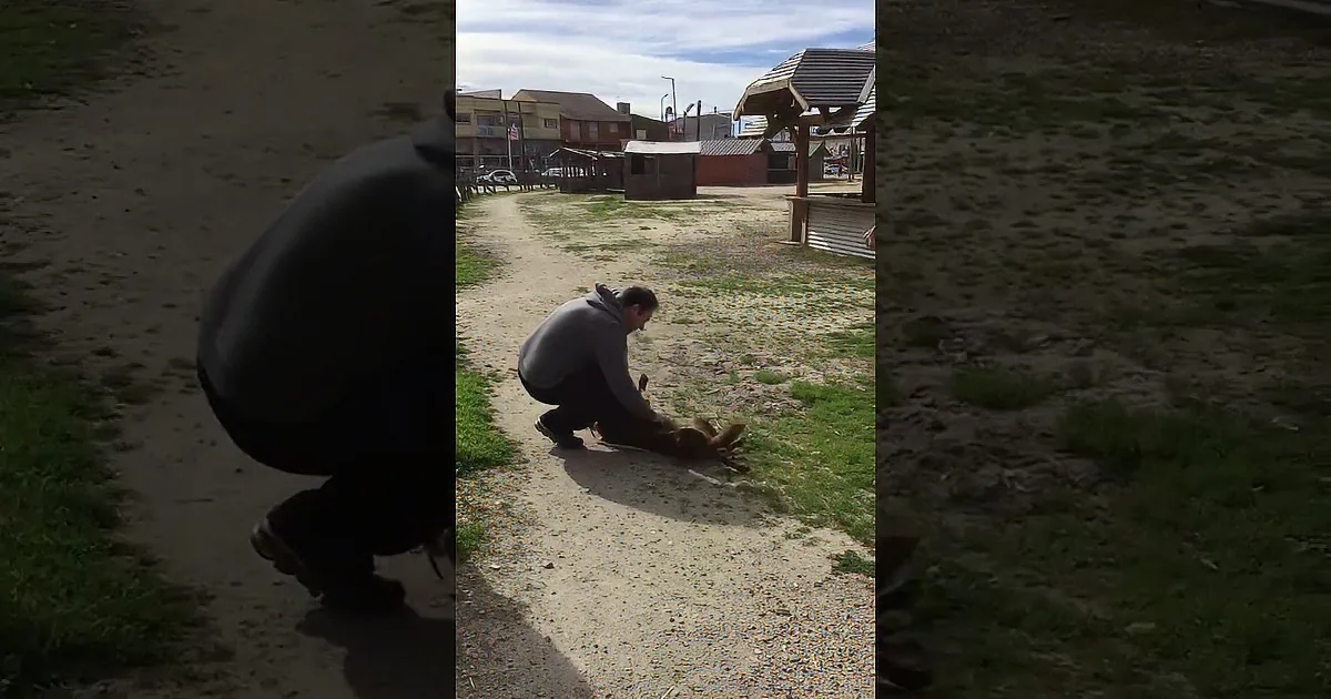 Dog Is Abandoned for Years, Until One Day She Recognizes a Familiar Smell That Changes Everything