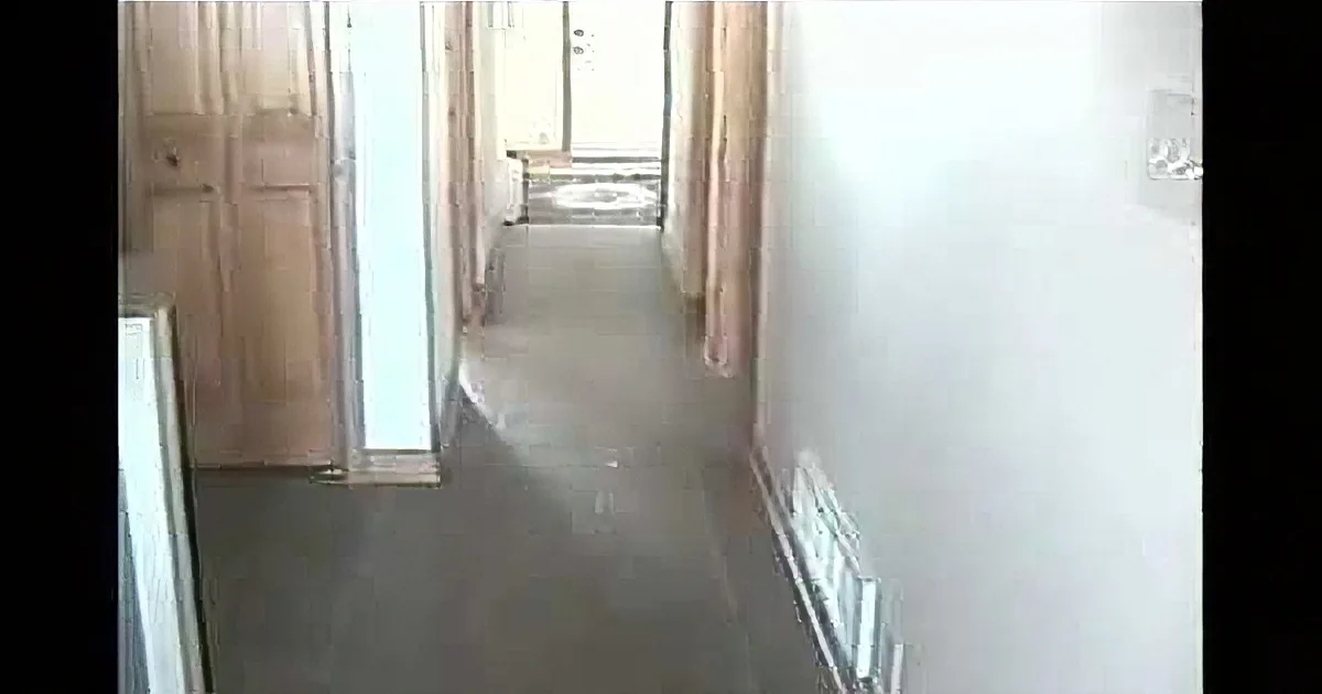 Mom Calls out to Pet Lamb but Animal Ignores Her and Prances Around House in Hilarious Fashion
