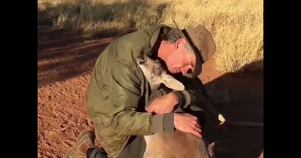 Watch the Heartwarming Video of the Day: People Rescuing Animals