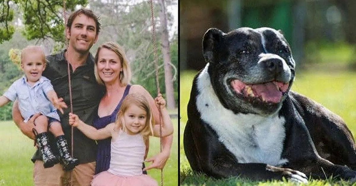 A family of four and a black and white dog are enjoying a sunny day outdoors.
