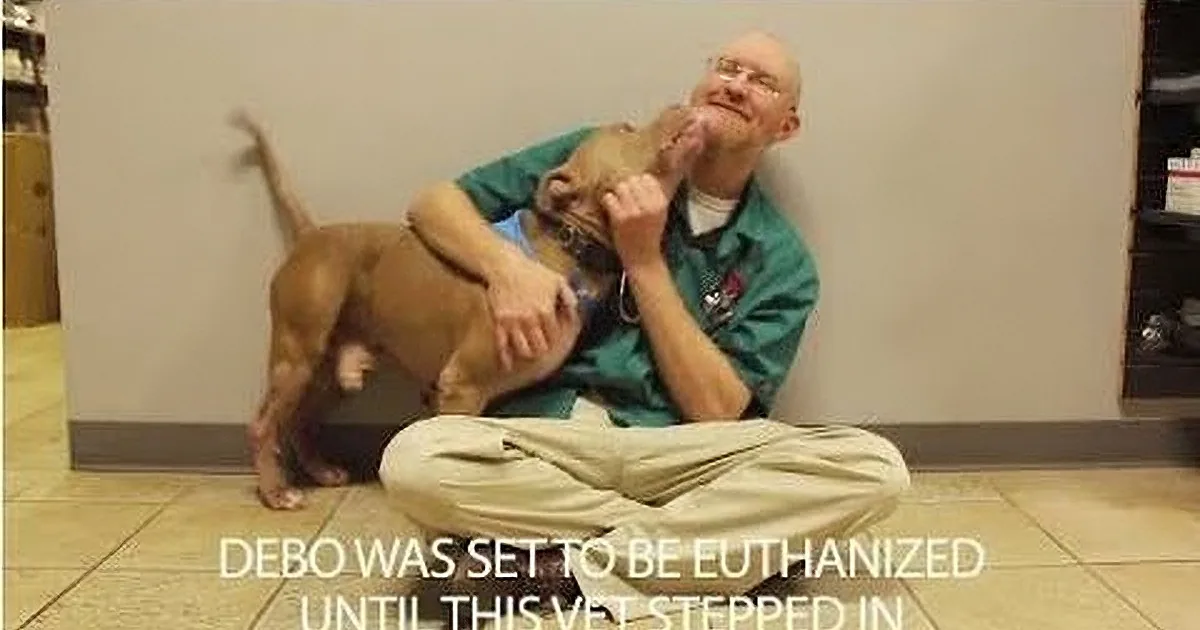 A man in scrubs holds a dog, with text below mentioning Debo's tube was stenized.