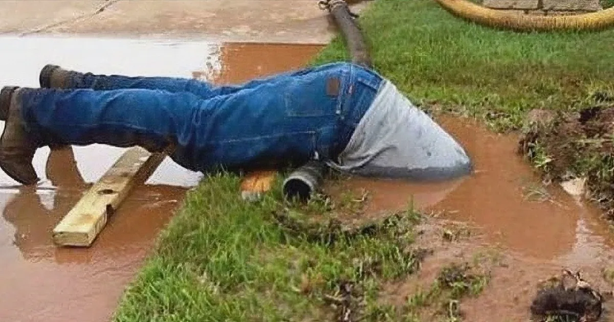 He Plunged Headfirst Into His Work and the Photo Flooded the Internet