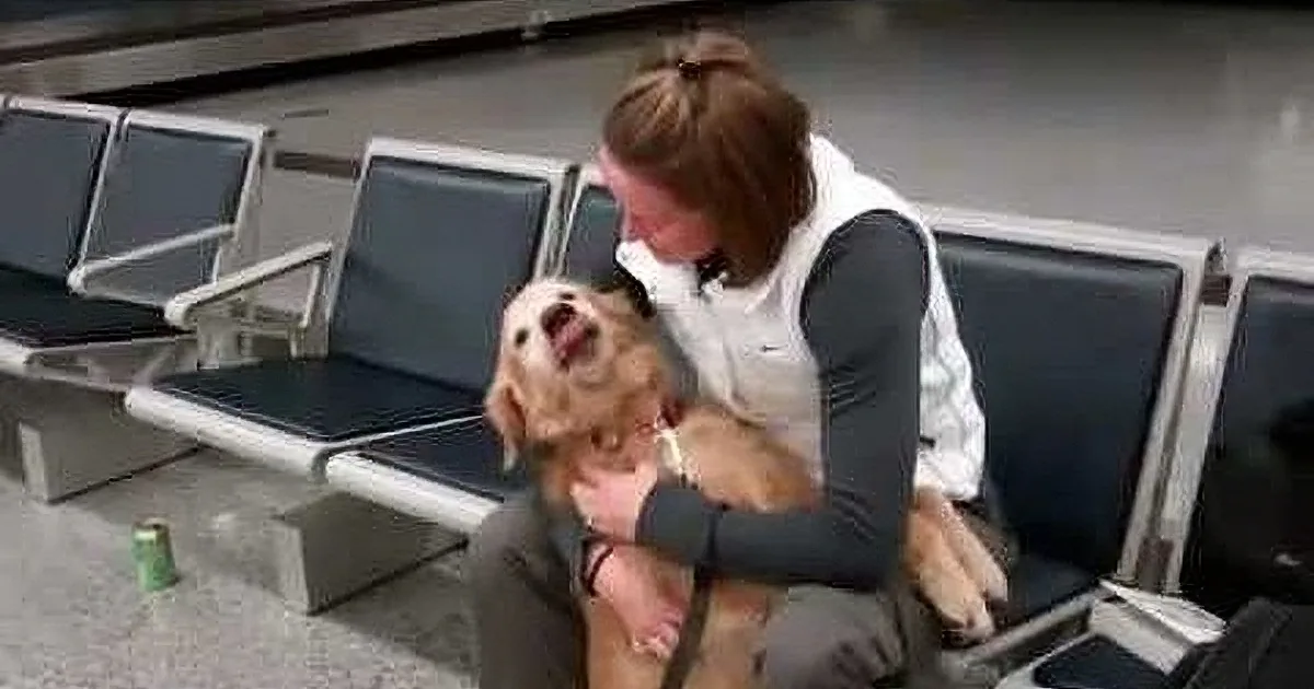 A Dog Reunites With Dad After Months Apart and Has the Warmest Reaction