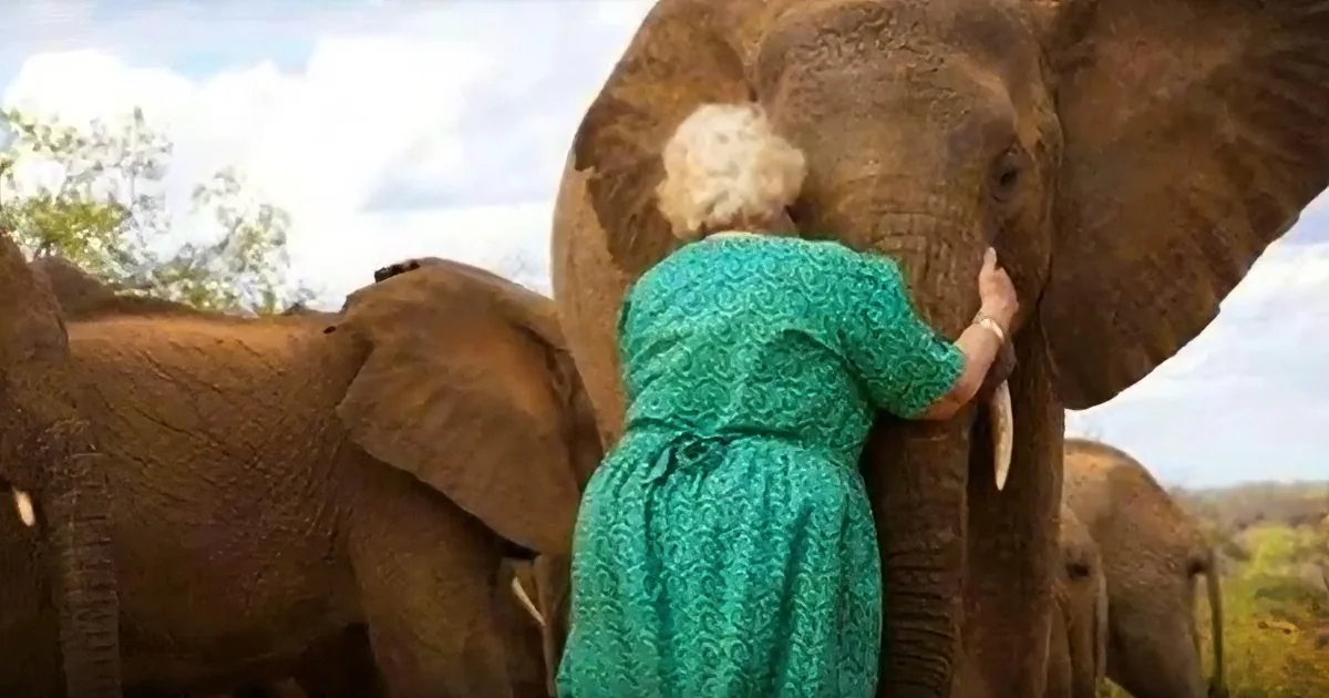 A Group of Elephants Lines up to Hug This Woman Who Has Raised Them for 40 Years