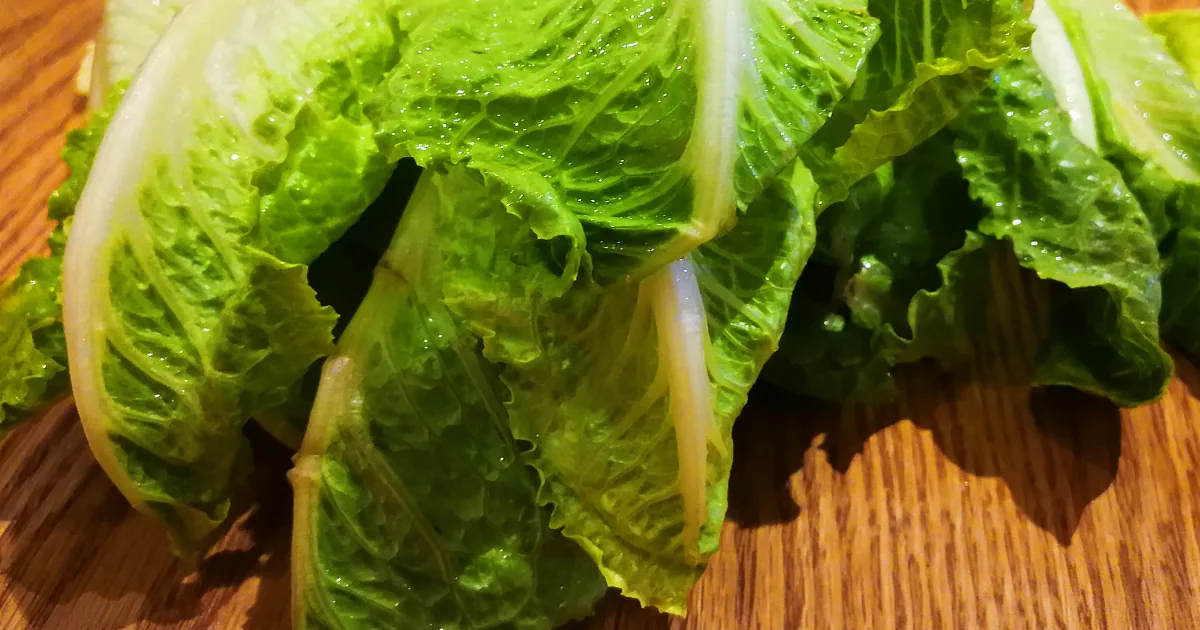 ''Throw out' This Lettuce, Warns Cdc. It May Have E. Coli, as Outbreak Hits These 16 States'