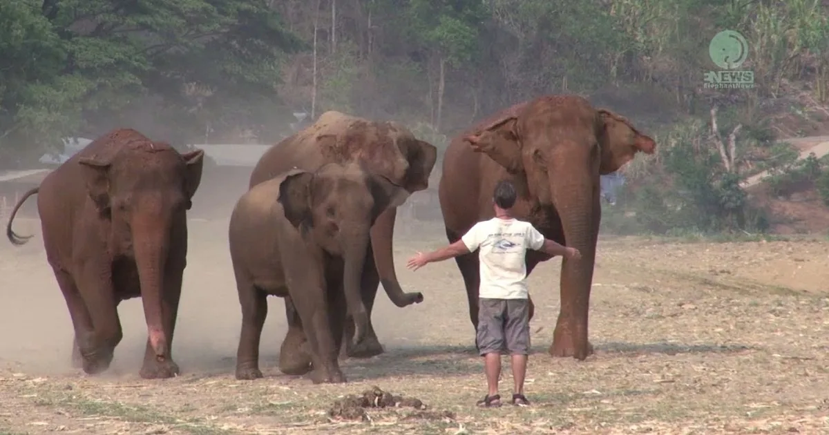 He Calls the Elephants and They Obey! Meet the Elephant Whisperer...