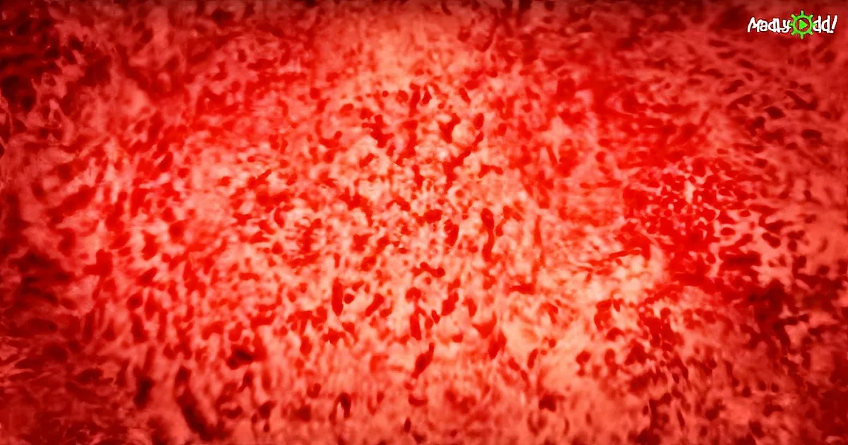Flying Drone Is Sacrificed to Capture Explosive Volcano Footage