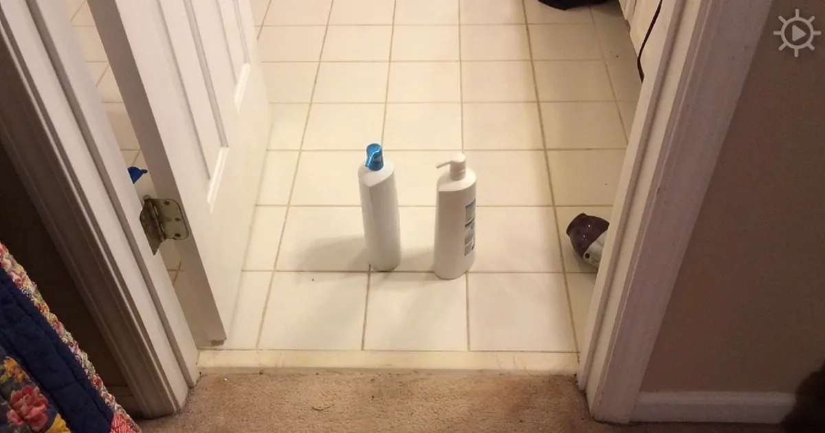 Two white bottles with blue caps sit on a tiled bathroom floor near a door.