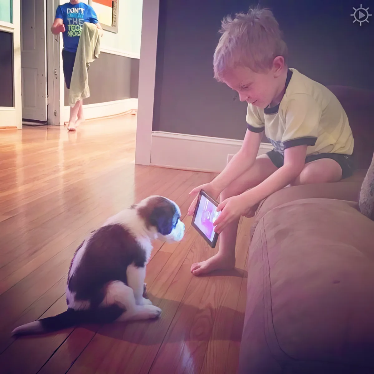 Puppy Training Videos