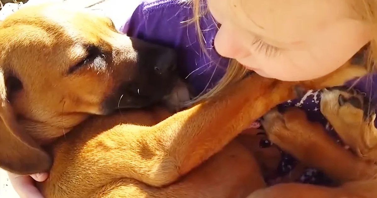 Her New Rescue Puppy Is so Full of Energy -- but When She Sings a Lullaby, It Starts to Work