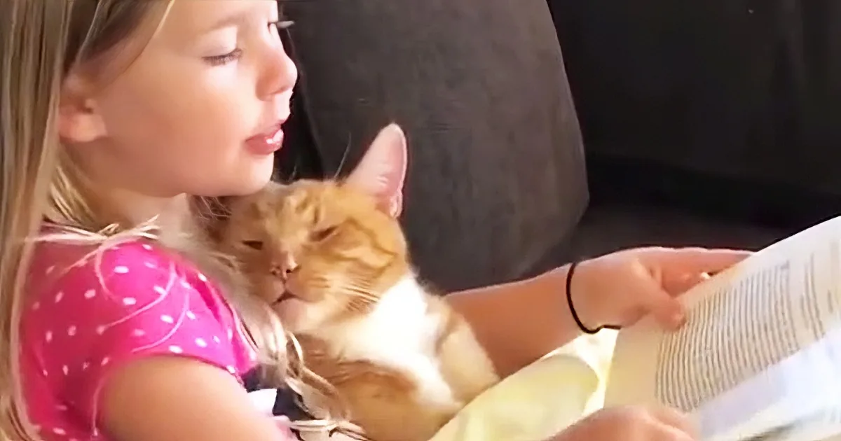 A young girl in a pink polka-dot shirt reads a book while cuddling a fluffy orange and white cat.