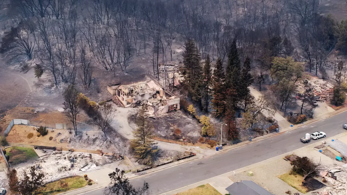 Burned-out house amidst scorched trees and debris near a road.