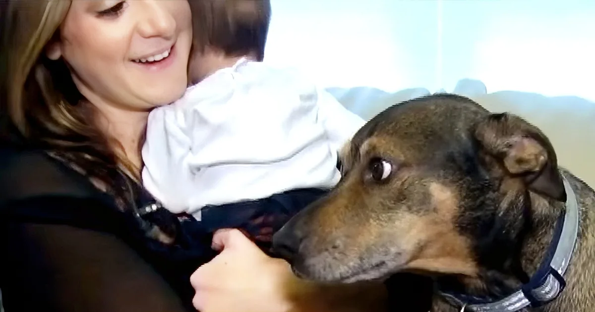 A woman in a white shirt holds a dog with a blue collar, both smiling.