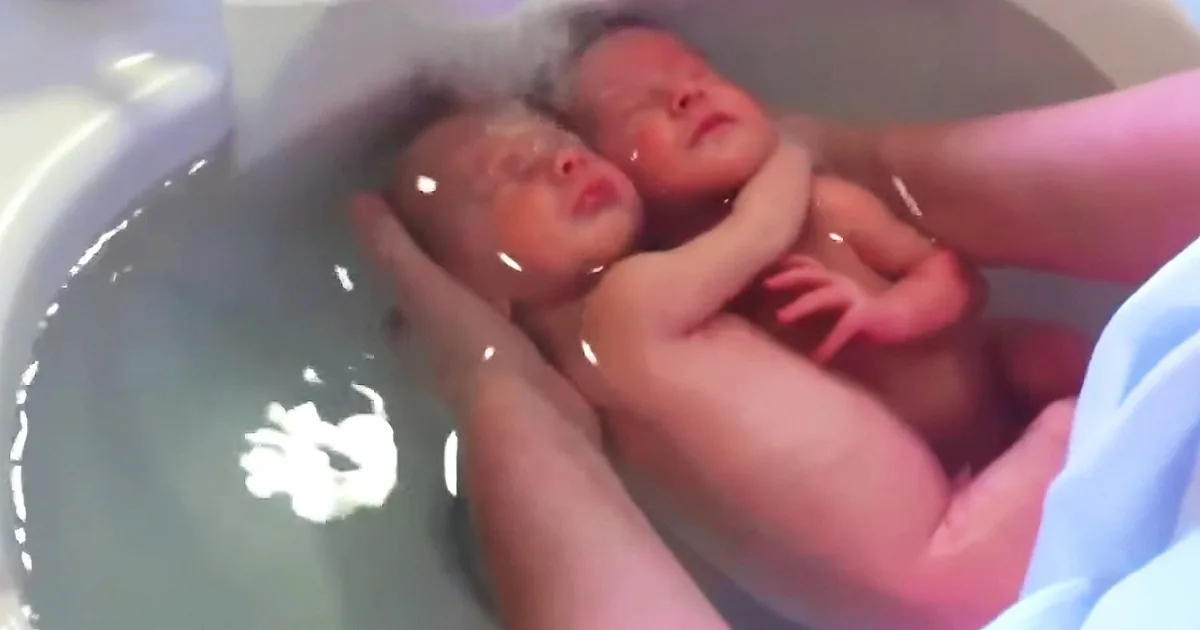 Two newborn babies are being bathed in a white bowl by a person.