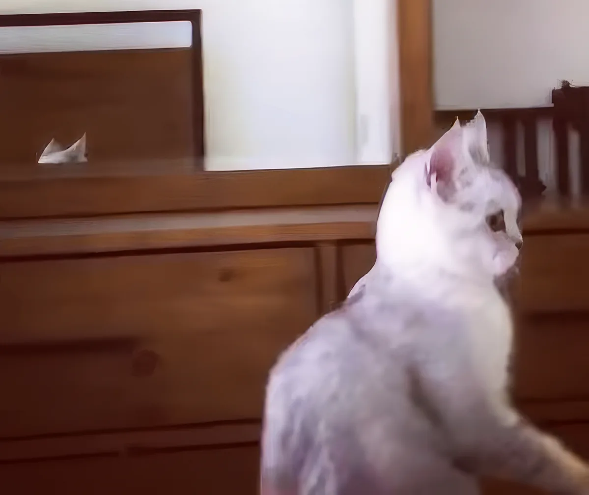 A white cat with a gray patch sits on a wooden dresser, looking up at a mirror.