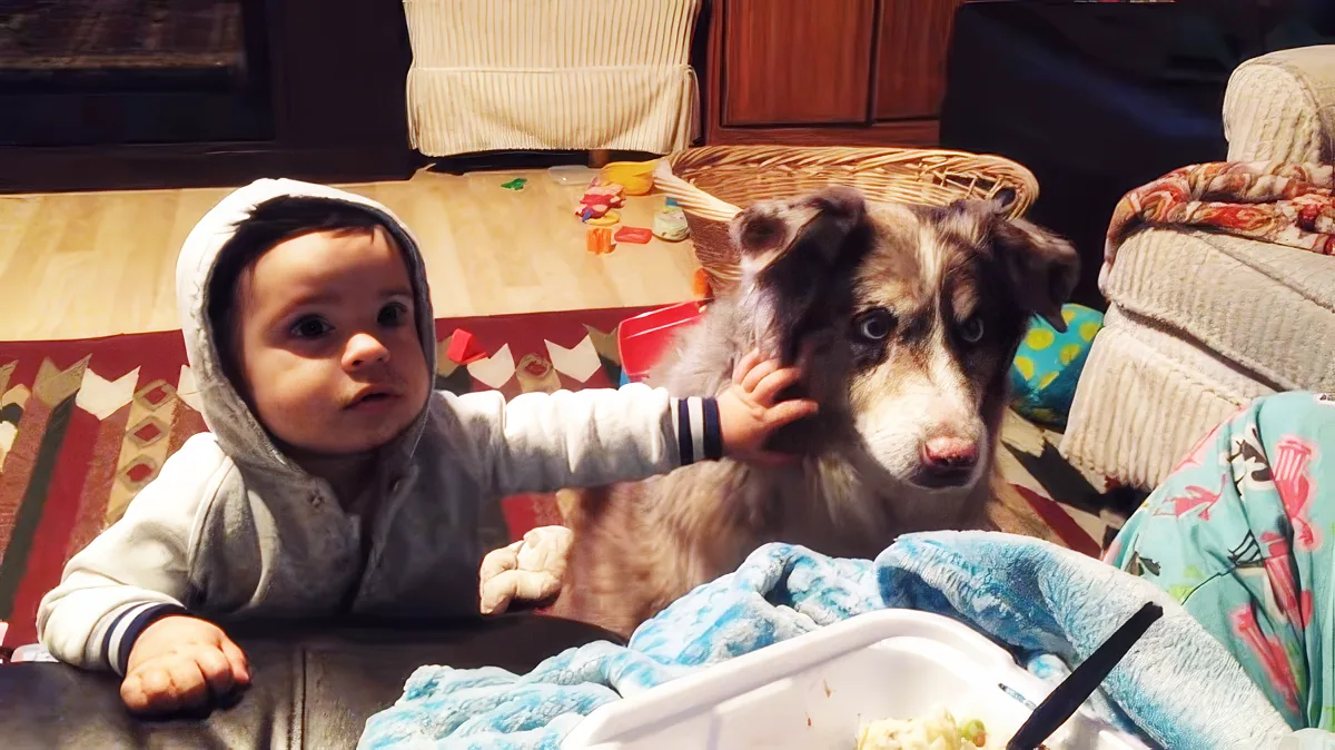 A baby in a hoodie interacts with a dog on a couch, surrounded by toys and blankets.