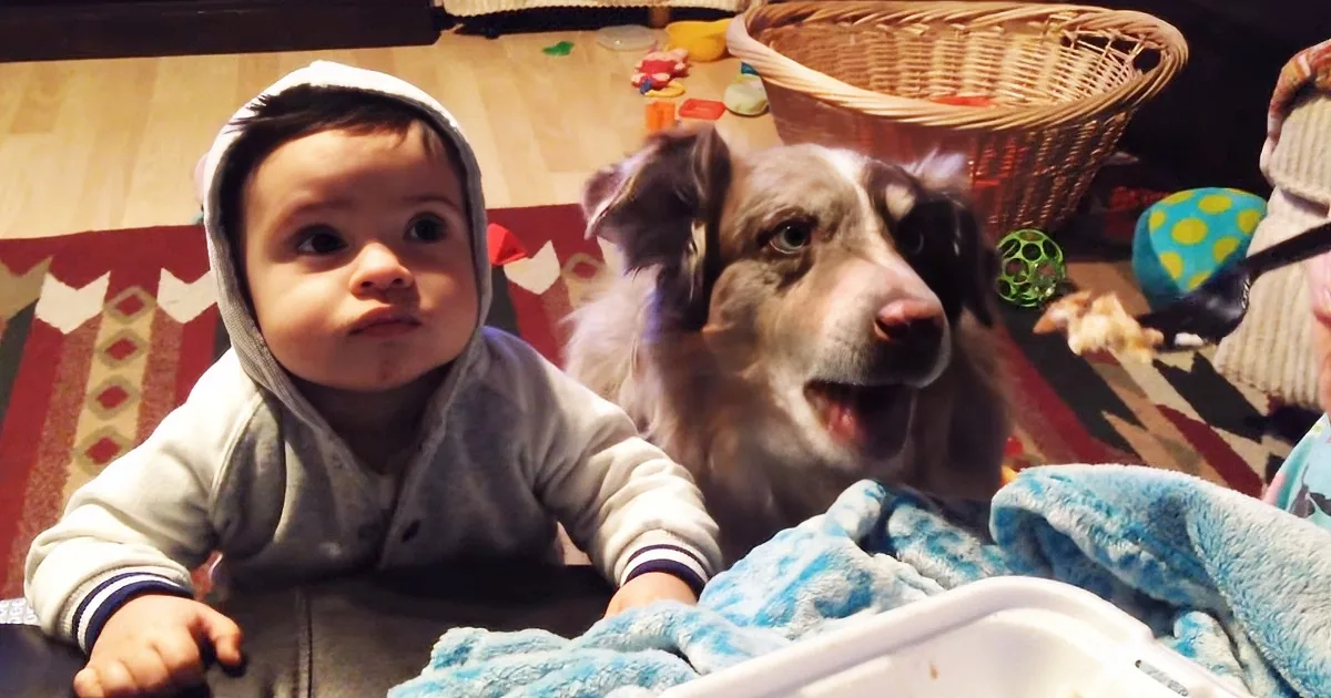 Mom Tries to Teach Baby to Say ''Mama'' but the Dog Says It Instead!