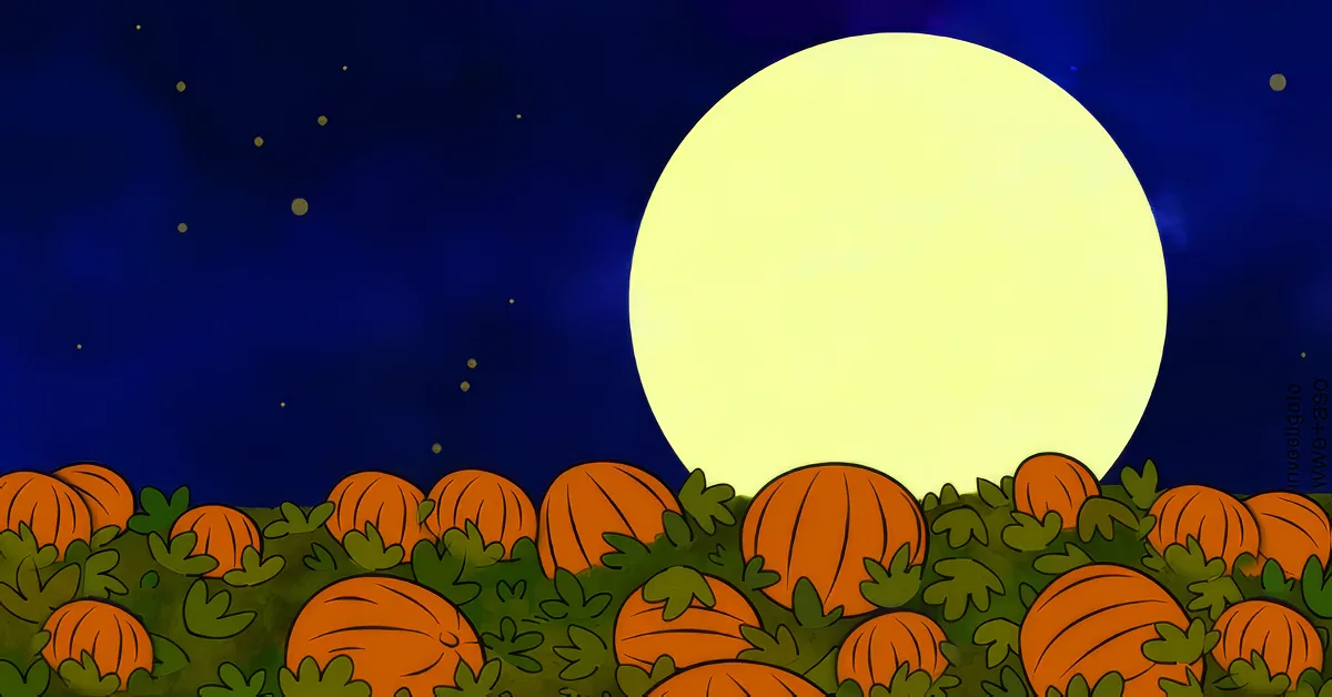 A full moon shines over a field of pumpkins and green foliage against a dark blue night sky.