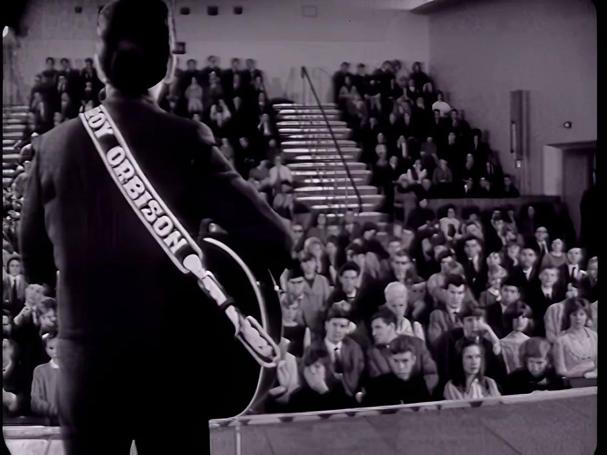 Roy Orbison 1965