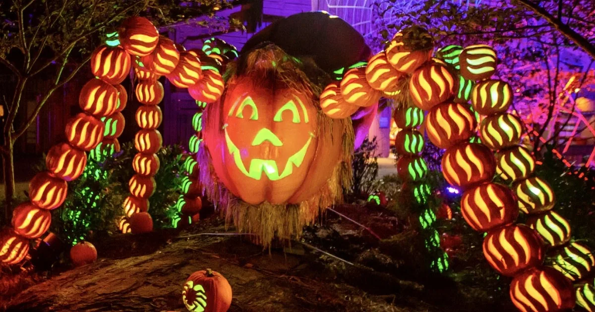 Stroll Through Dollywood''s Glowing Halloween Display, the Best Fall Festival in the Smokies